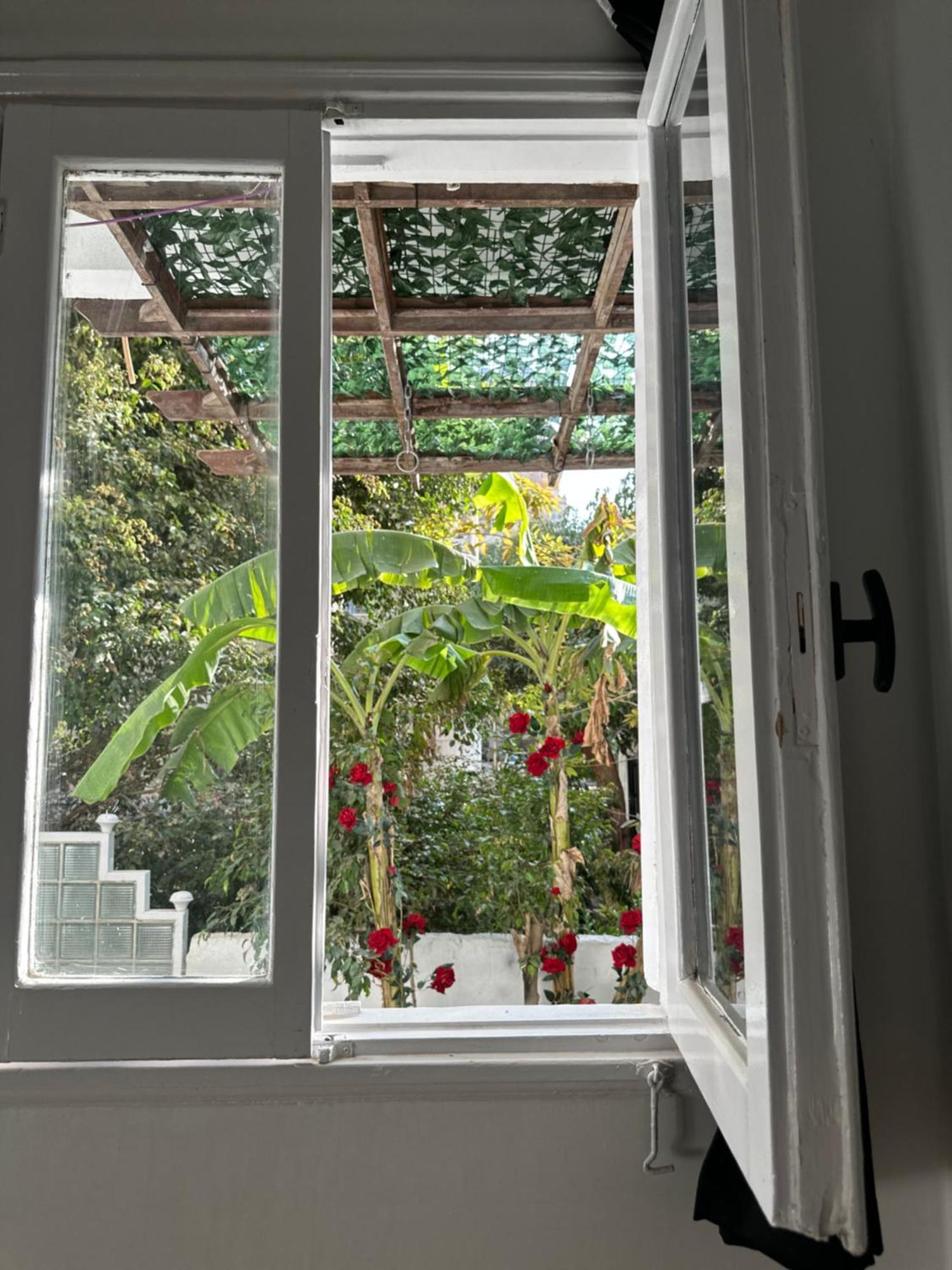 Modern 1-Bedroom Apartment In Zamalek Visits Allowed القاهرة المظهر الخارجي الصورة