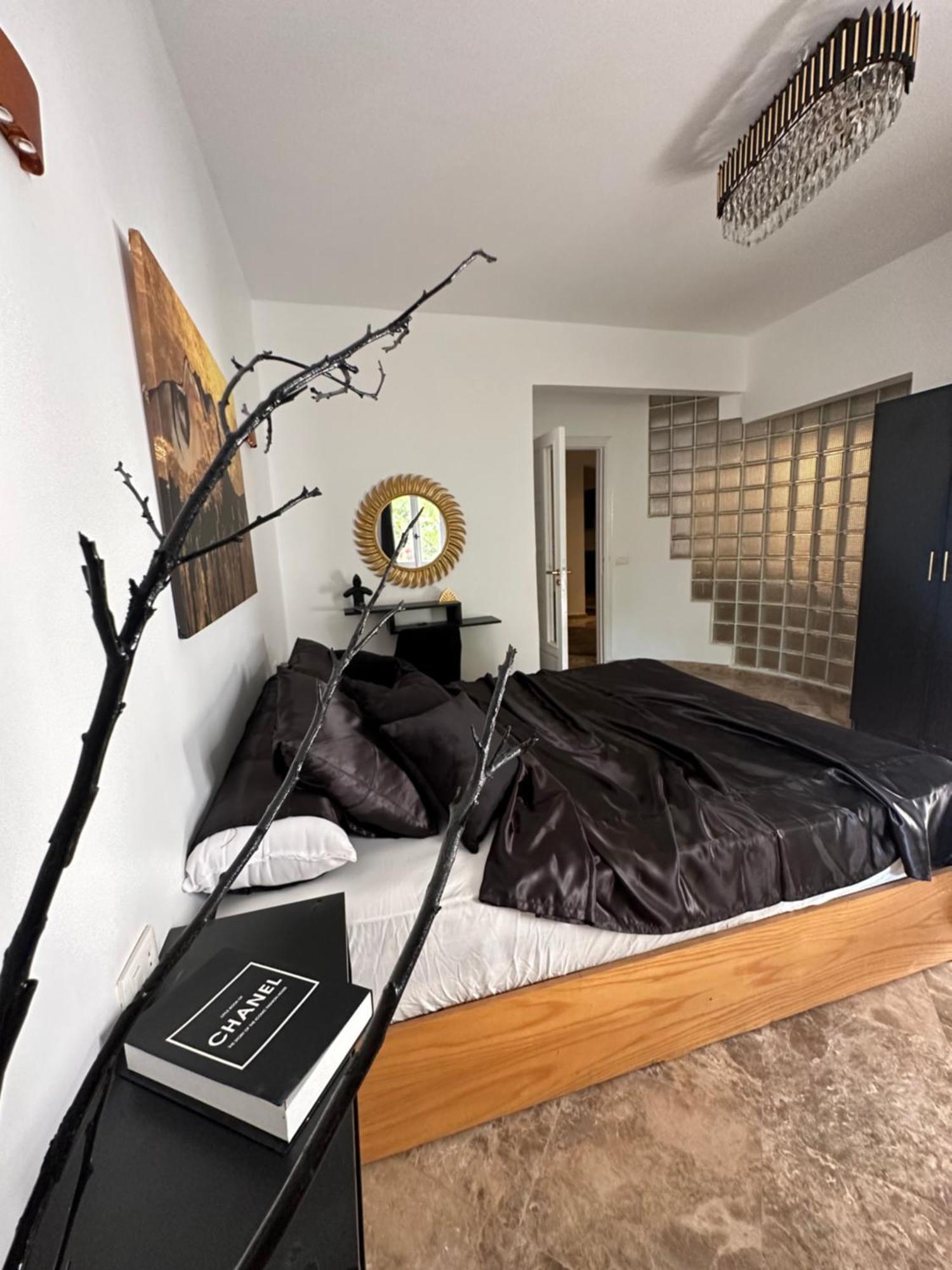 Modern 1-Bedroom Apartment In Zamalek Visits Allowed القاهرة المظهر الخارجي الصورة